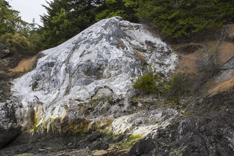 Lime-stained rocks at Lime Kiln Point State Park